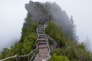 世界短道速滑科研成果发布会：弯道减阻研究获突破，世界短道速滑比赛
